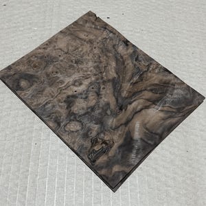 1/42&quot; Stunning Walnut Burl 6&quot;W x 7&quot;L