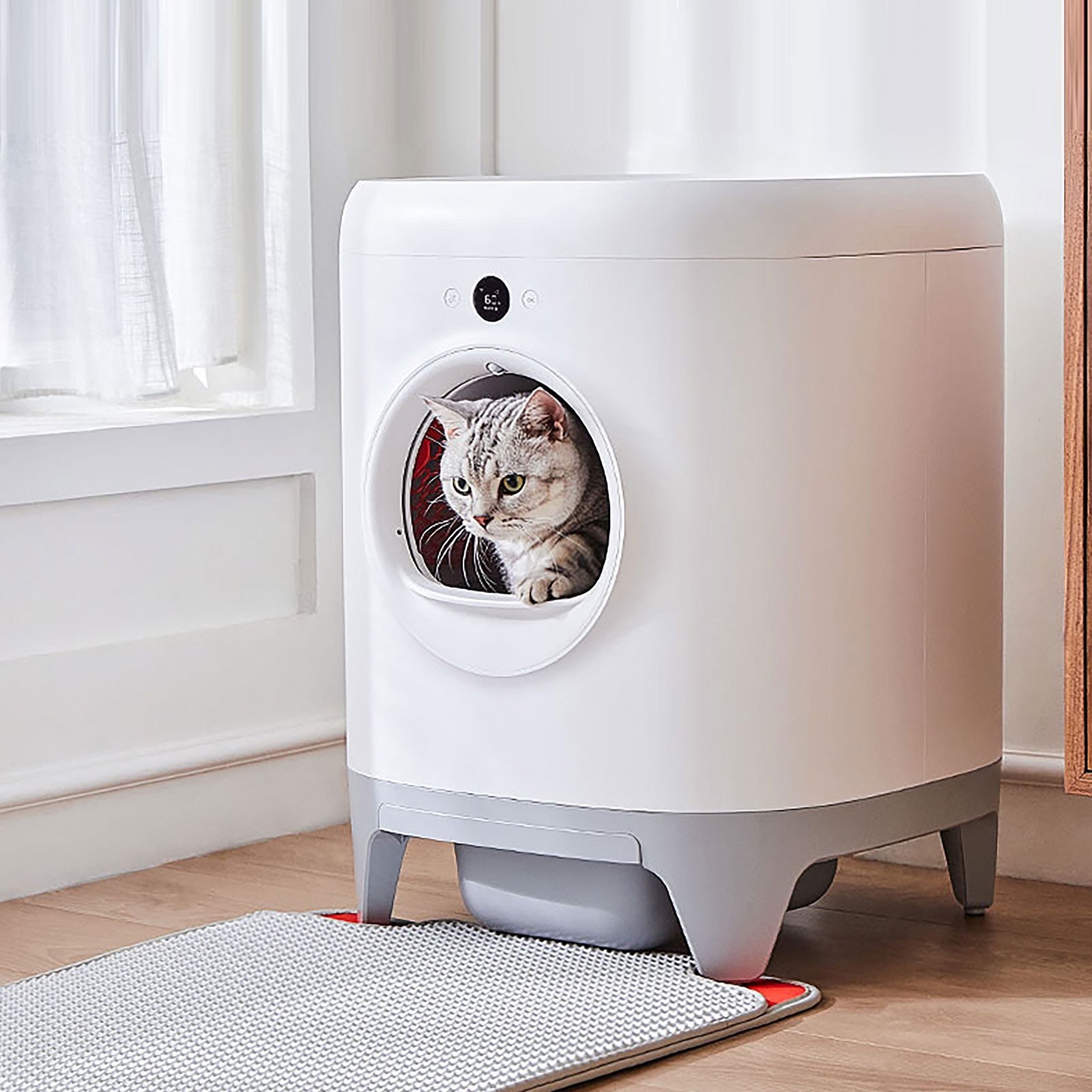 automatic litter box canada