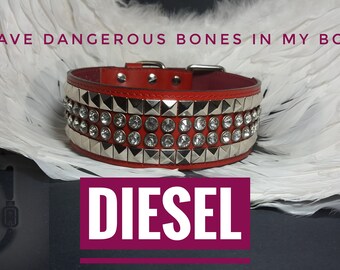 diesel dog collar
