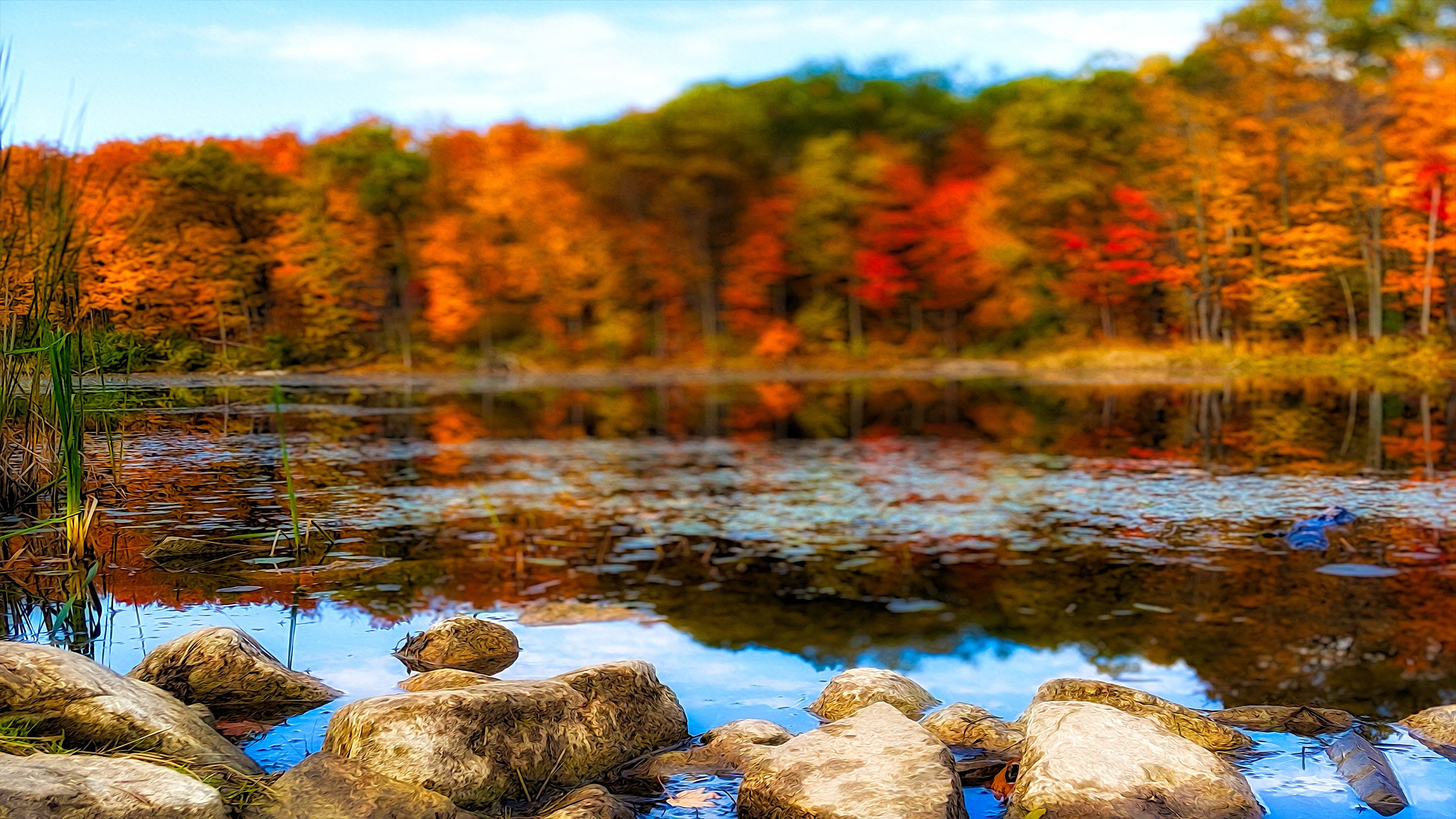 Fall Moving Virtual Background Zoom