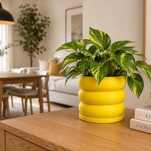 May include: A bright yellow, three-tiered, rounded ceramic plant pot containing a lush green and yellow variegated pothos plant. The pot sits on a matching yellow circular saucer, showcasing a smooth, matte finish and a distinct stacked ring design.