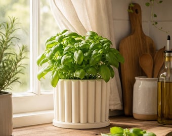 Jardinière cannelée avec égouttoir | Pot à succulentes en PLA mat, décoration bohème