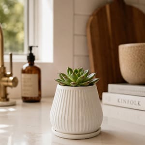 Pot de fleurs côtelé imprimé en 3D | Jardinière cannelée avec soucoupe de drainage, plusieurs couleurs
