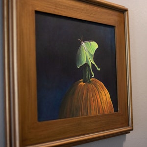 Puede incluir: Una pintura enmarcada de una polilla luna verde posada sobre una calabaza naranja sobre un fondo azul oscuro.