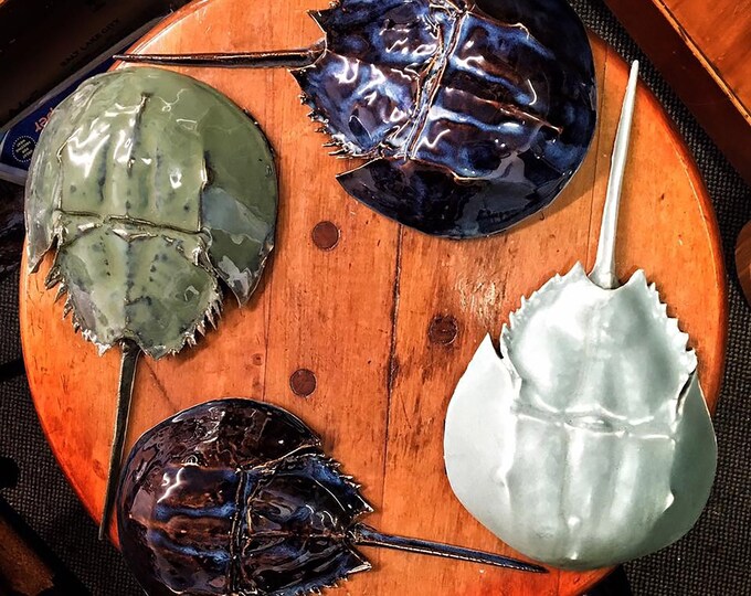 Ceramic Horseshoe Crab Etsy