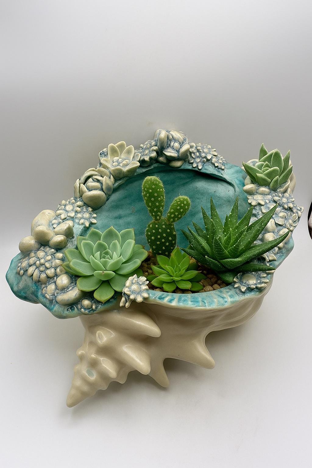 Ceramic Conch Shell Planter: Handmade Succulent Decor - Etsy