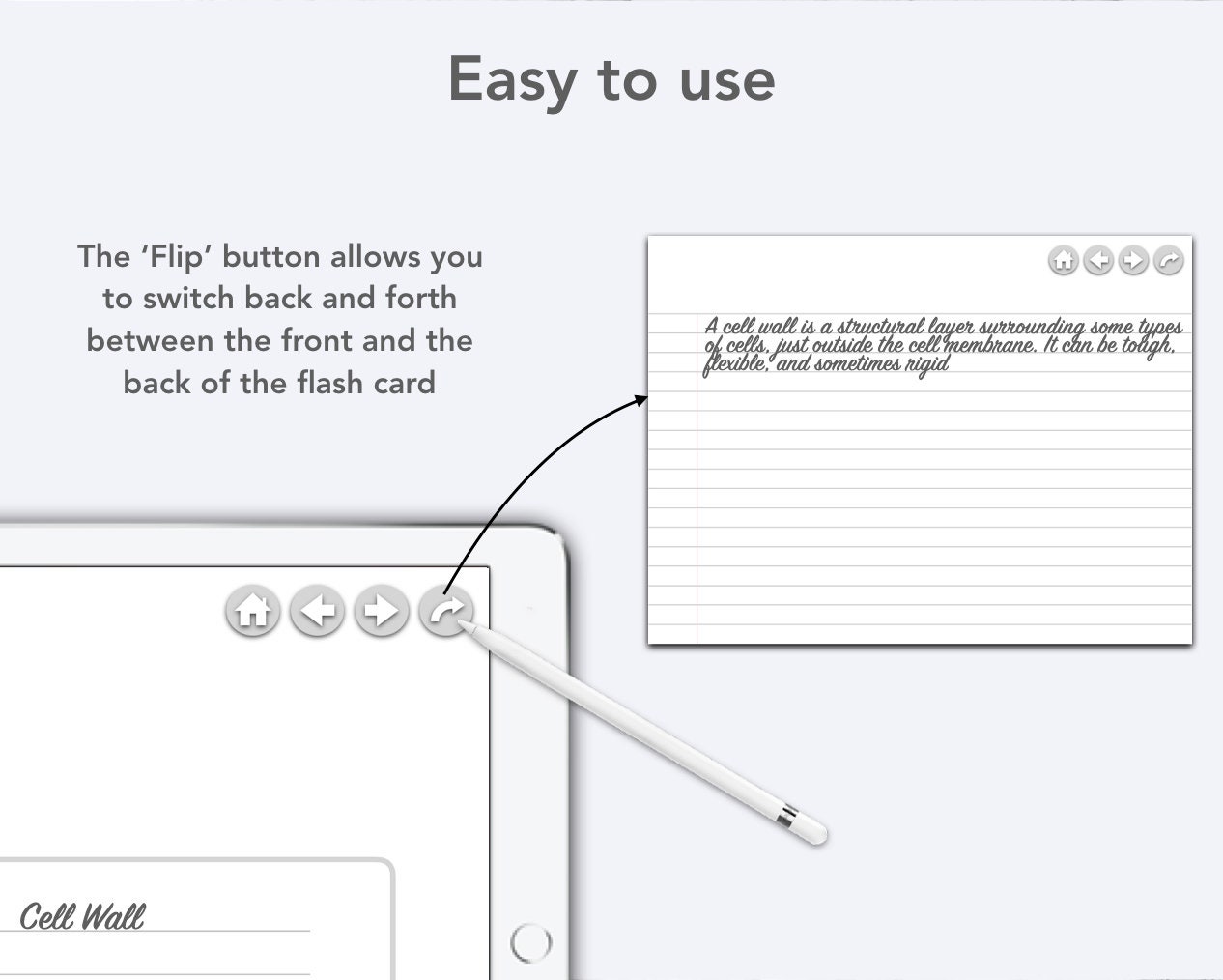 goodnotes 5 flashcards goodnotes 5 flashcards