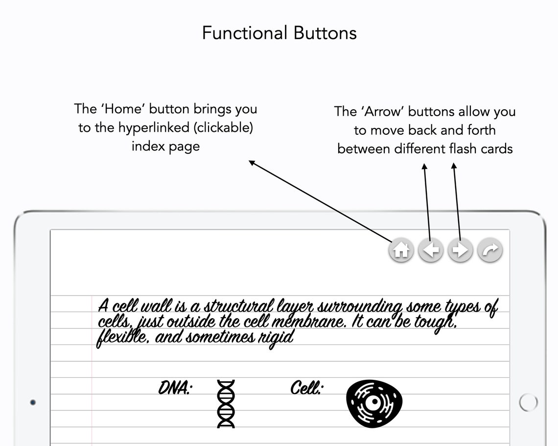 Digital Flash Cards Goodnotes Flash Cards Ipad Flash Cards Etsy