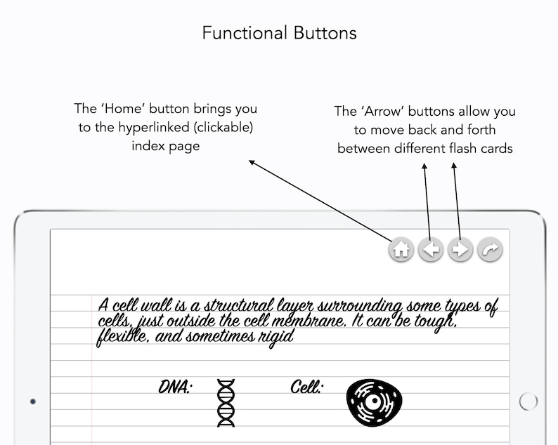 Digital Flash Cards Goodnotes Flash Cards Ipad Flash Cards Etsy
