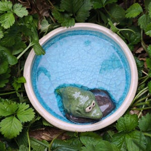 Könnte beinhalten: Ein Vogelbad aus Keramik mit hellblauem, craquelé Innenraum und einer grünen Froschskulptur. Das Bad hat einen weißen Rand und liegt zwischen grünen Blättern. Der Frosch ruht auf einem dunkelbraunen Stein.