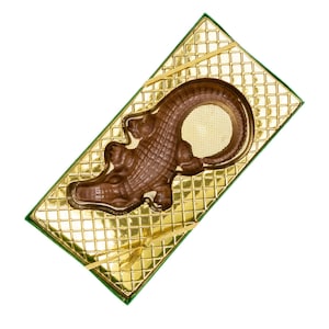 Chocolate Alligator Milk Chocolate, Dark Chocolate, White Chocolate, Unique Gift, Gator in Florida, Perfect Gift for any Celebration, 5.5 oz