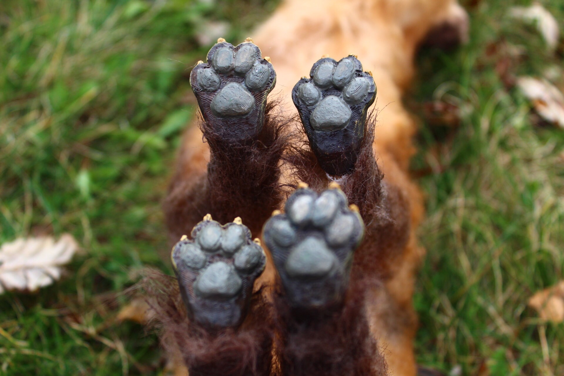 Hyena Plush Art Doll - Etsy