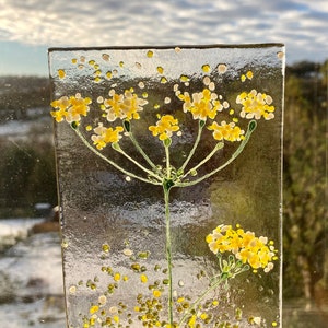 Cheerful Cow parsley Flower fused glass Art & wooden display stand