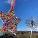 Everlasting Glass Flower Multi Coloured
