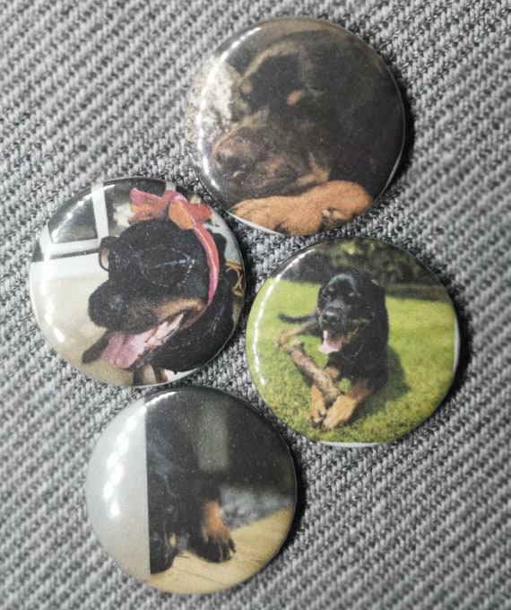 Keefa the Rottweiler Pins / Badges