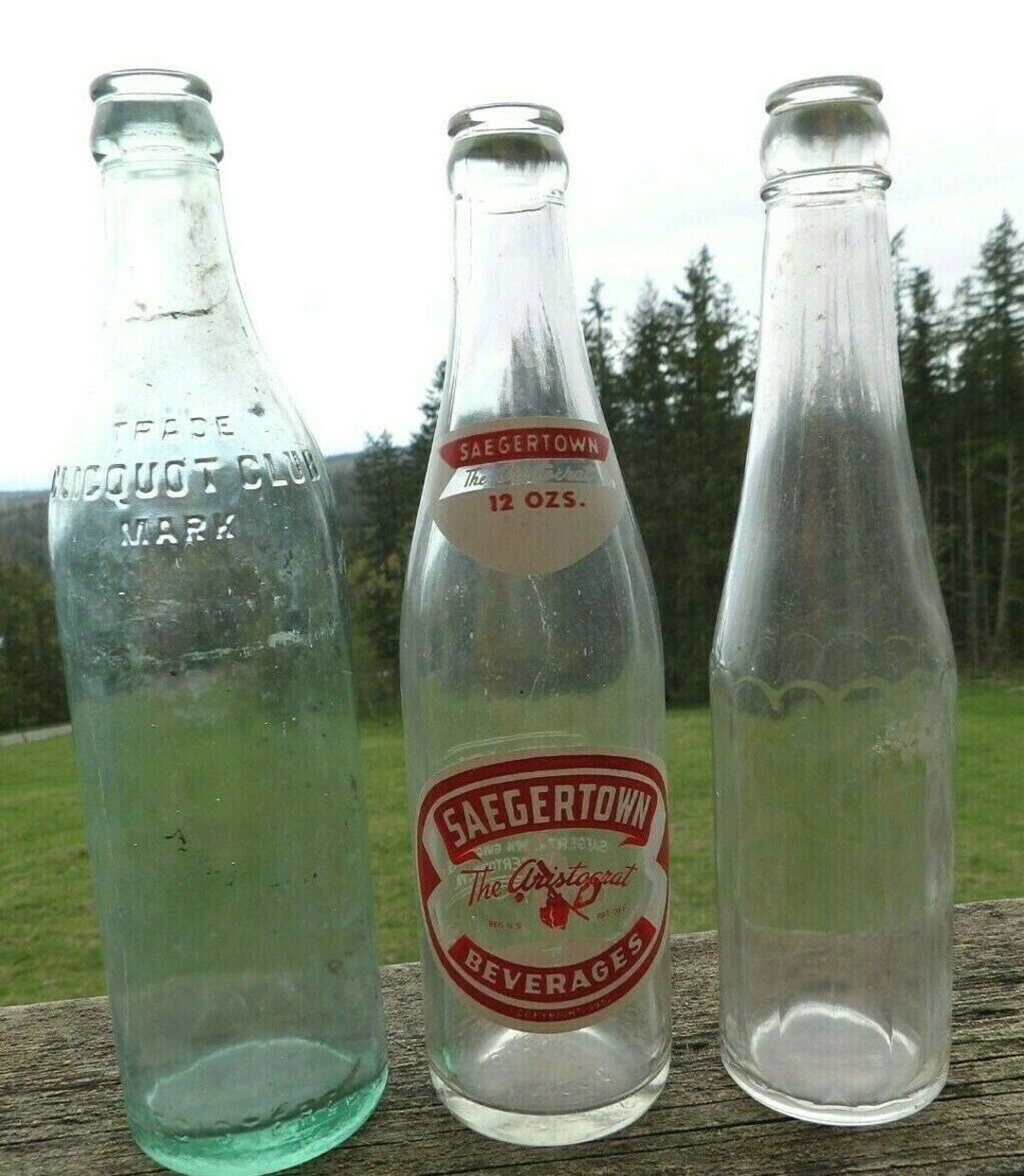 3 Vintage Soda Pop Bottles 1950s Saegertown Aqua Clicquot Etsy