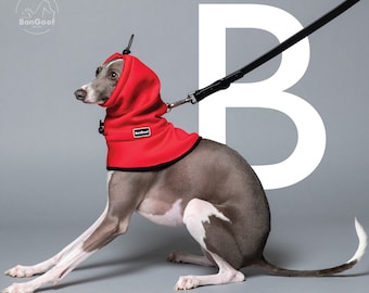 BonGoof SNUDDLE: Snood for Italian Greyhound, Whippet, Sighthounds - Practical Weather Gear, Hight-Tech and Eco-Friendly Fabric