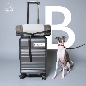 BonGoof YOGIDOGGY Decke: Tragbare Reisedecke für Hunde wasserdicht, langlebig, verstaubar, maschinenwaschbar Bild 1
