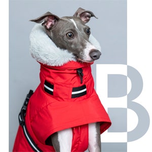 BonGoof WOOFtheRAIN: Waterproof Raincoat for Italian Greyhound Fully lined with Supersoft Faux fur image 2