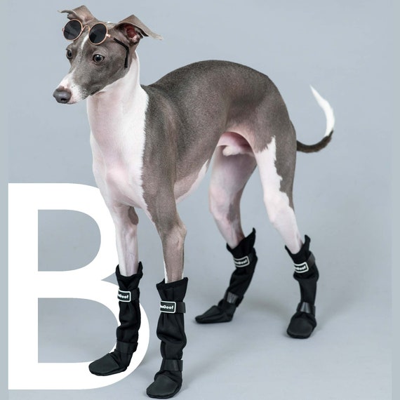 whippet boots
