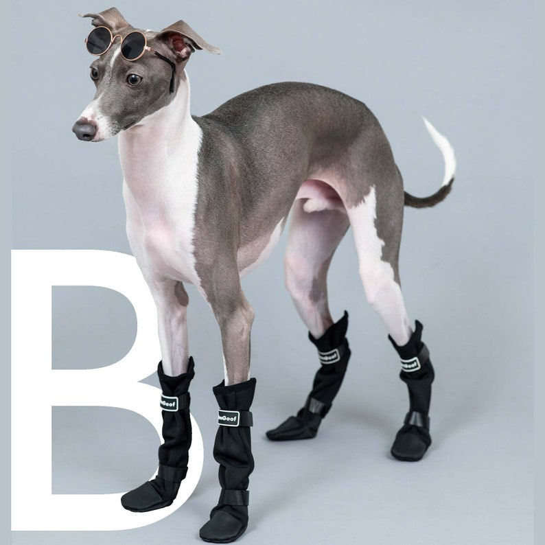 BonGoof SHAKEurBOOTIES Perfect shoes for Italian Greyhound Etsy