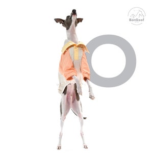 BonGoof Funorak: Windbreaker Colorblock Jacket for Italian Greyhound Lightweight / Relaxed Fit image 6