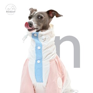 BonGoof Funorak: Windbreaker Colorblock Jacket for Italian Greyhound Lightweight / Relaxed Fit image 3