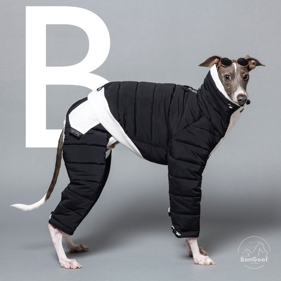 dog snowsuit uk