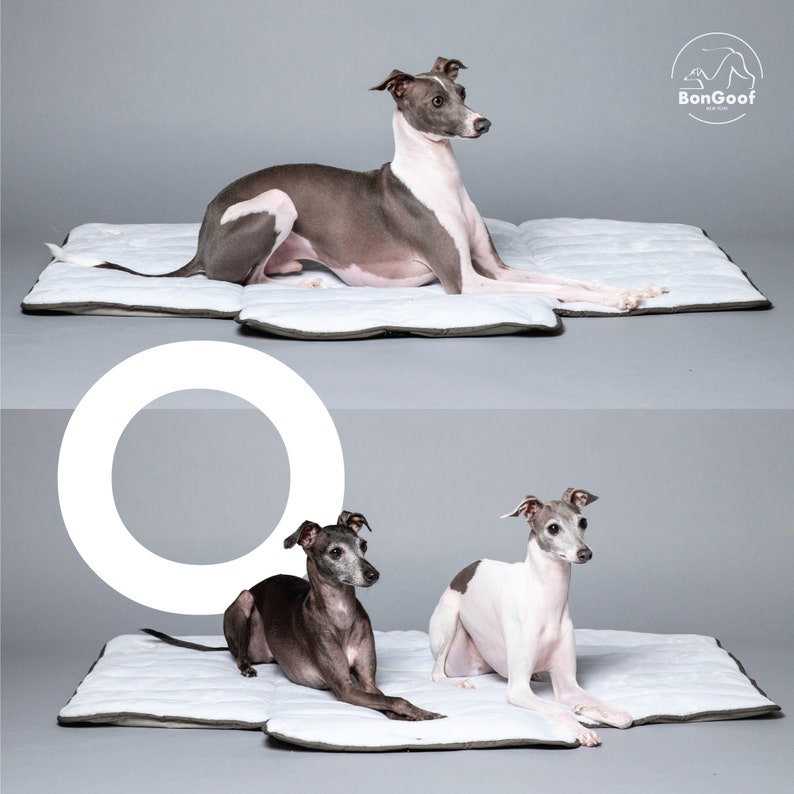 BonGoof YOGIDOGGY Couverture : Couverture portable de voyage pour chiens Imperméable, durable, pliable, lavable en machine image 2