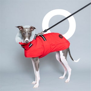 BonGoof WOOFtheRAIN: Waterproof Raincoat for Italian Greyhound Fully lined with Supersoft Faux fur image 5