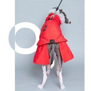 BonGoof WOOFtheRAIN: Waterproof Raincoat for Italian Greyhound Fully lined with Supersoft Faux fur image 6