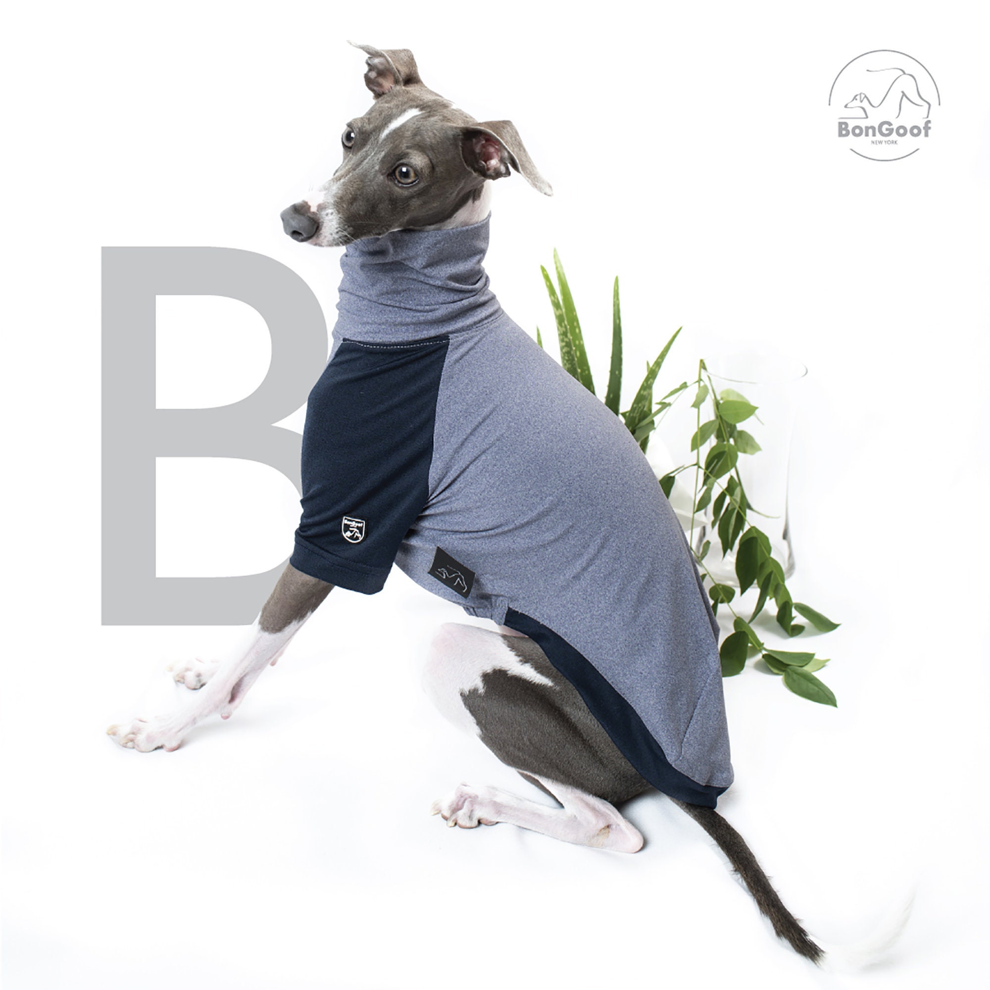 Bongoof Coolpace T: Summer T Shirt for Italian Greyhound Cooling / Sun  Protection / Fast Dry 