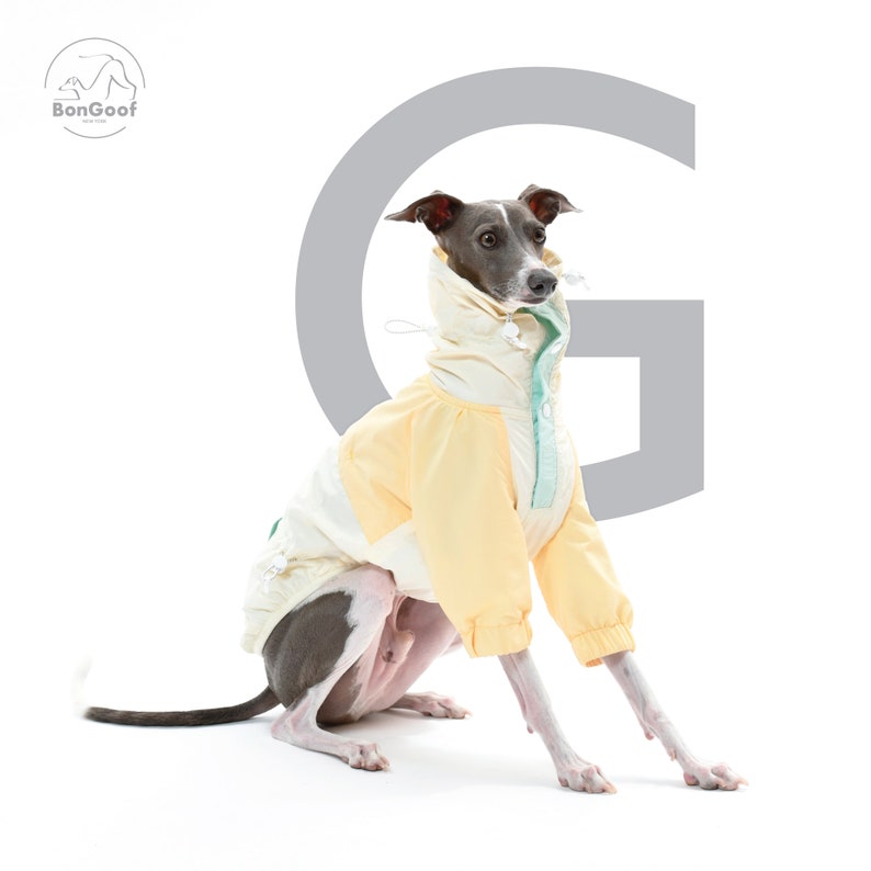 BonGoof Funorak: Windbreaker Colorblock Jacket for Italian Greyhound Lightweight / Relaxed Fit image 4