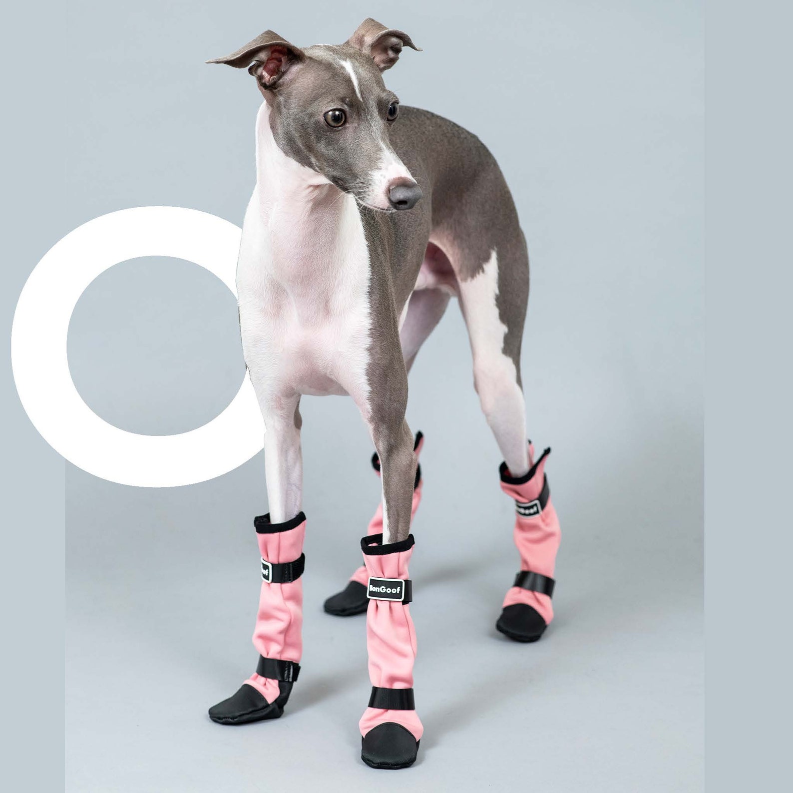 BonGoof SHAKEurBOOTIES Perfect shoes for Italian Greyhound Etsy
