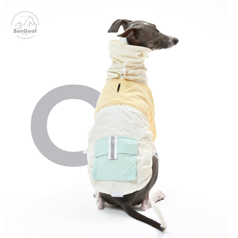 BonGoof Funorak: Windbreaker Colorblock Jacket for Italian Greyhound Lightweight / Relaxed Fit image 5