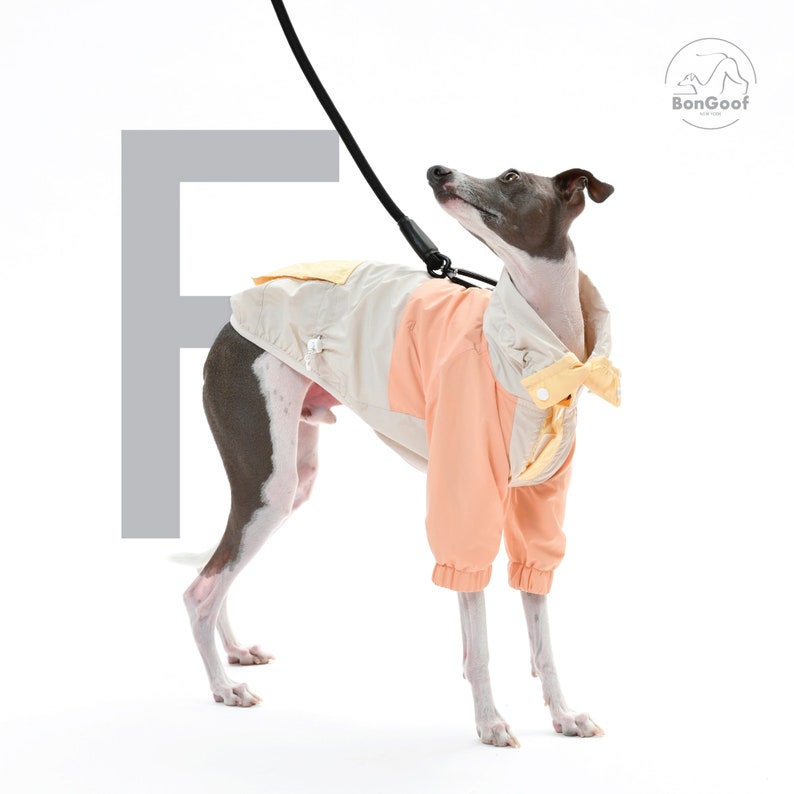 BonGoof Funorak: Windbreaker Colorblock Jacket for Italian Greyhound Lightweight / Relaxed Fit image 7