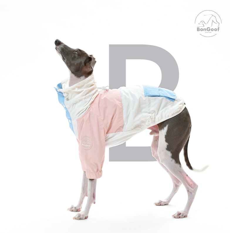 BonGoof Funorak: Windbreaker Colorblock Jacket for Italian Greyhound Lightweight / Relaxed Fit image 1