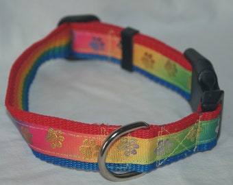 Paw print on multi coloured dog collar