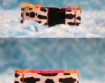 Collar para perro con estampado de vaca y forro de Minky arcoíris: 1,5 pulgadas de ancho, cuello de 10 a 14 pulgadas