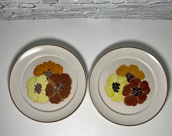 2 platos de popurrí Denby: Cerámica de mediados de siglo con flores de miel