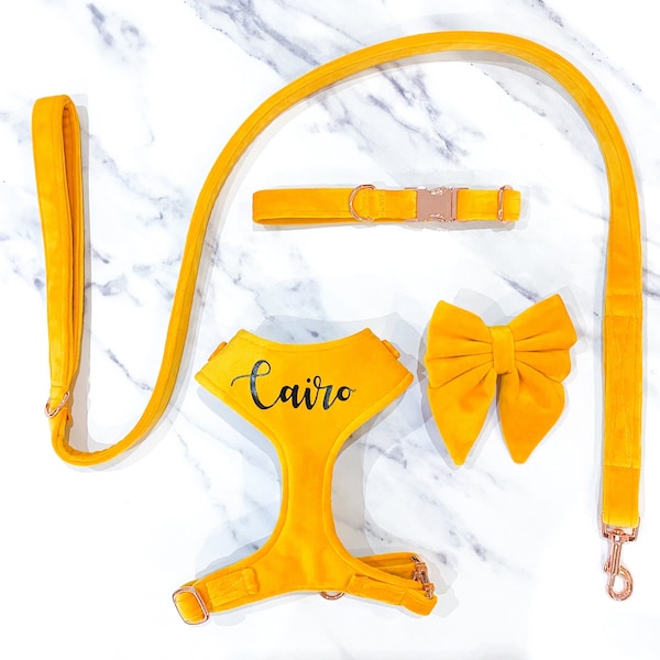 Yellow Dog Harness Etsy