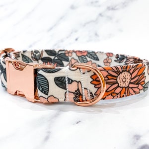 May include: A white dog collar with a floral pattern in shades of pink, orange, and green. The collar has a rose gold buckle and D-ring.