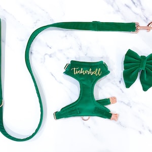 Bright Green Velvet Dog Harness Set – Leash – Personalise with name – Handmade in UK