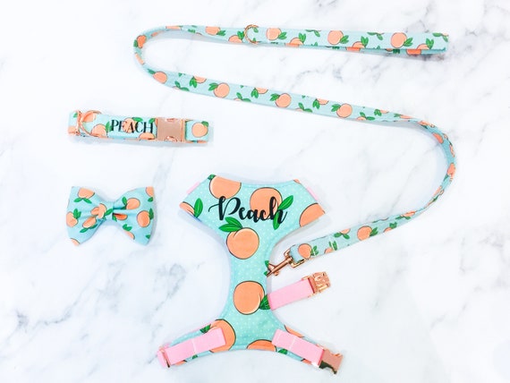 peach dog harness