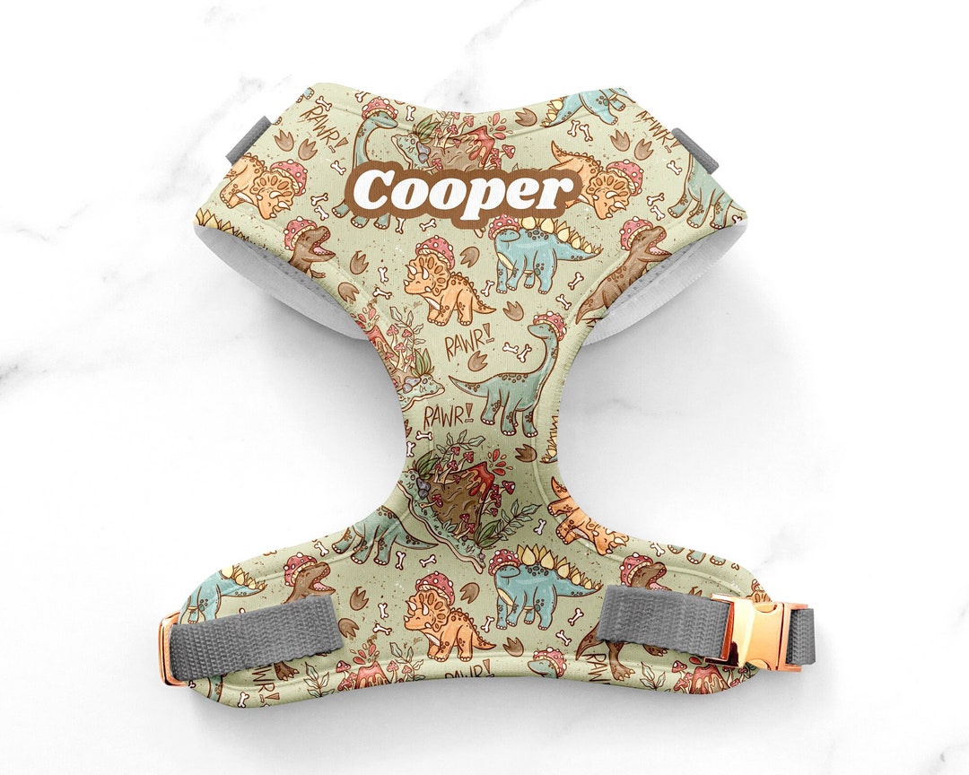 Dinosaurs Dog Harness Jurassic Dog Harness Trex Pet Etsy