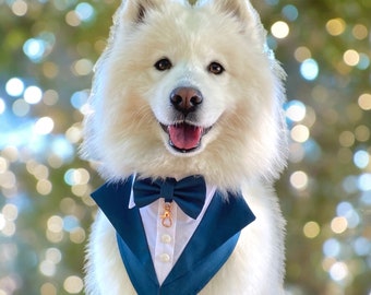 Może przedstawiać: Puszysty biały pies rasy samojed nosi ciemnomorską bandanę dla zwierząt zaprojektowaną tak, aby przypominała formalny smoking. Akcesorium posiada pasującą ciemnomorską muszkę, biały panel imitujący koszulę z dwoma guzikami oraz złote zapięcie.