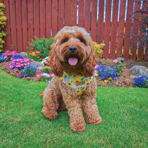 May include: A brown and white dog wearing a yellow and green sunflower patterned harness with the text "Summer Vibes" on it. The dog is sitting in a grassy area with flowers in the background.