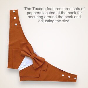 Op de afbeelding: Een roestkleurig smoking-achtig huisdieraccessoire met een wit reversinzetstuk, een bijpassende vlinderdas en witte drukknopen. De tekst luidt: The Tuxedo features three sets of poppers located at the back for securing around the neck and adjusting the size.