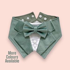 Sage Velvet Wedding Dog Tuxedo, Lilypad Green Tuxedo Bandana, Optional Upgrade to Ring Bearer, Bean Green Wedding Dog Bandana