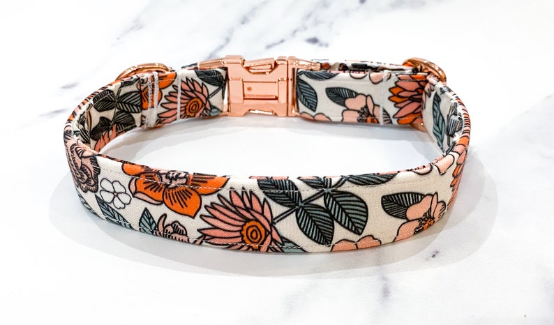 May include: A white dog collar with a floral pattern featuring orange, pink, and green flowers. The collar has a rose gold buckle and is made of durable fabric.
